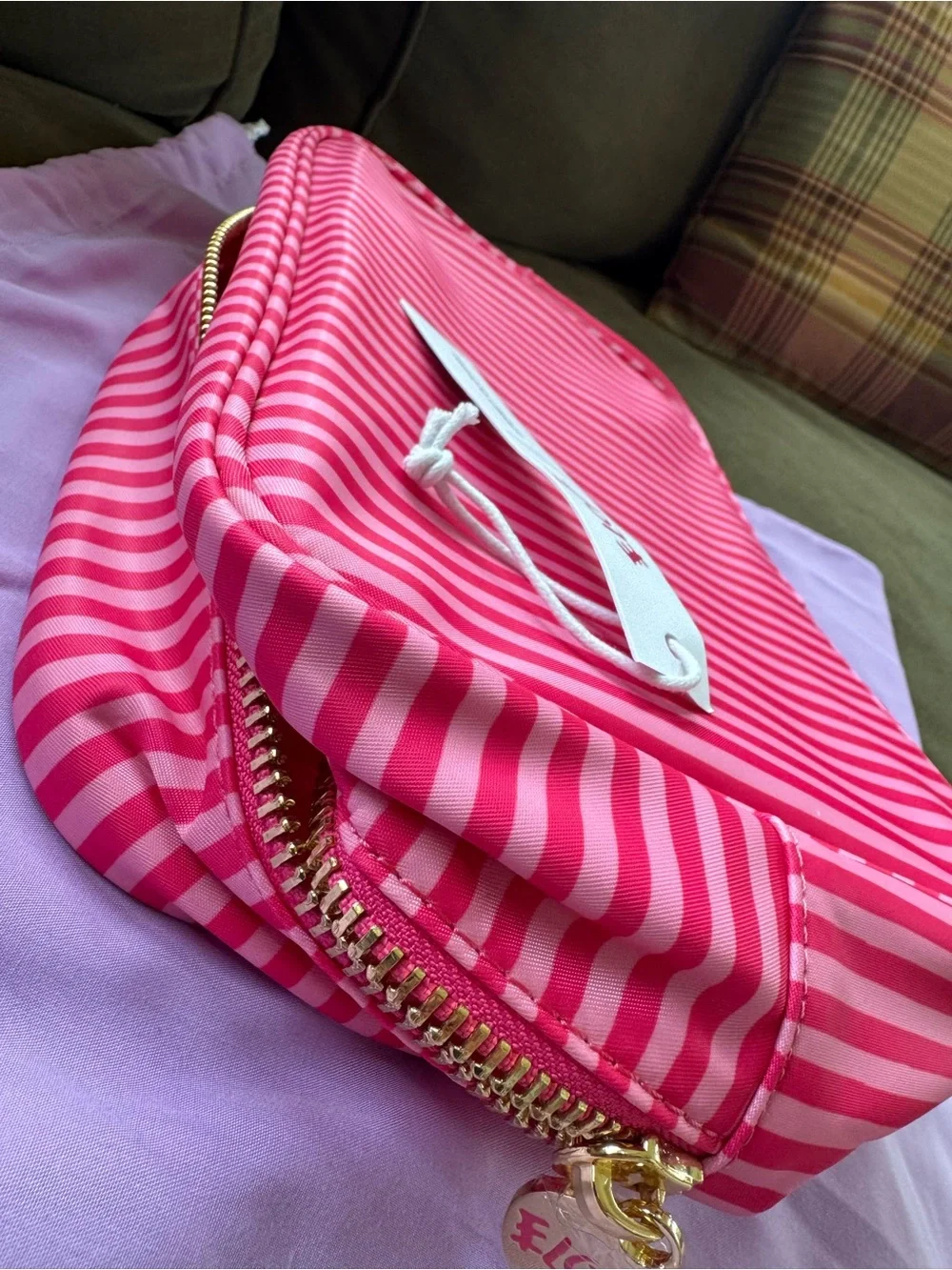 Stoney Clover Lane Pink Striped Cosmetic Case Eloise at the plaza